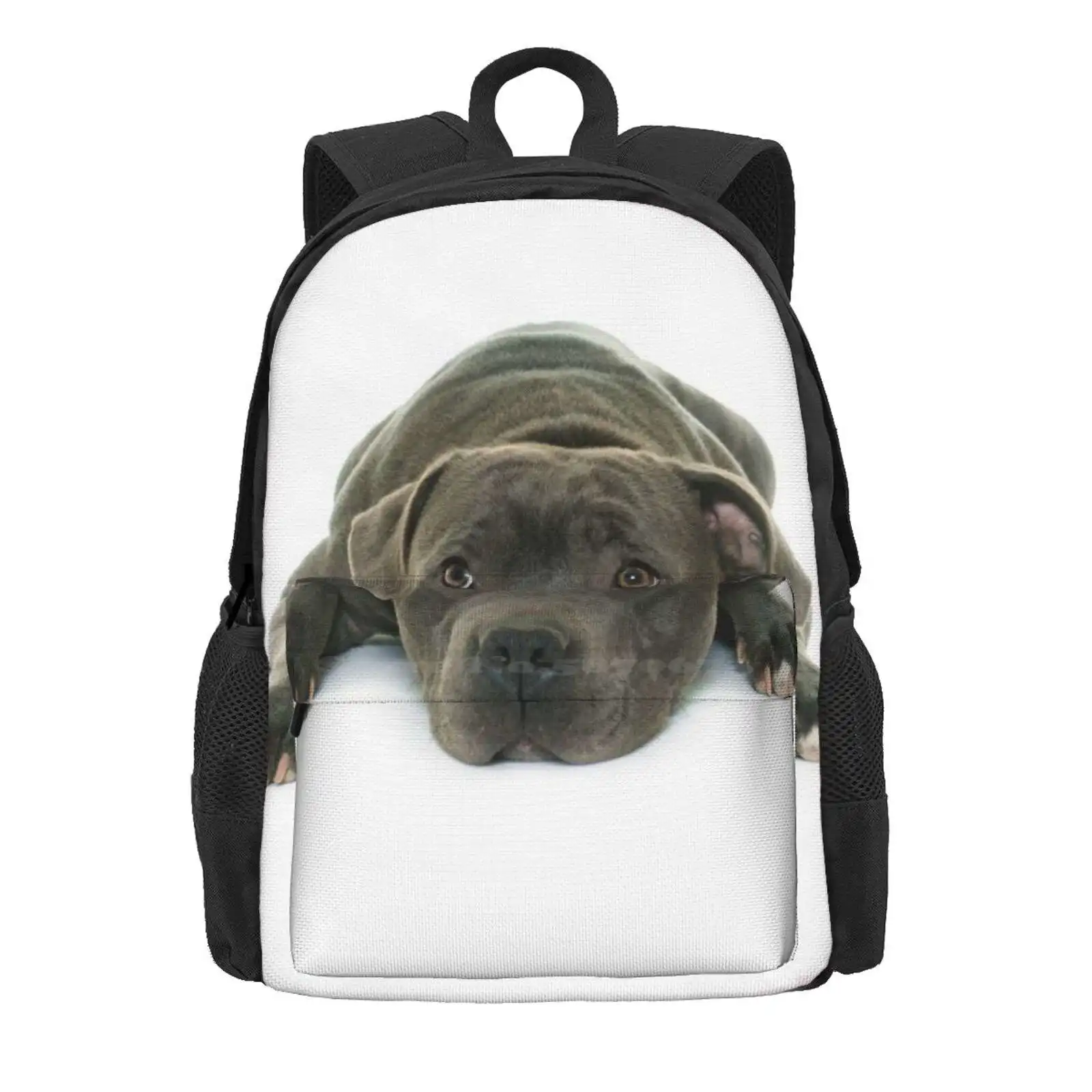 Blue Staffordshire Bull Terrier Super Cute Puppy Eyes Hot Sale Schoolbag Backpack Fashion Bags Love Dogs Just A Girl Who Loves