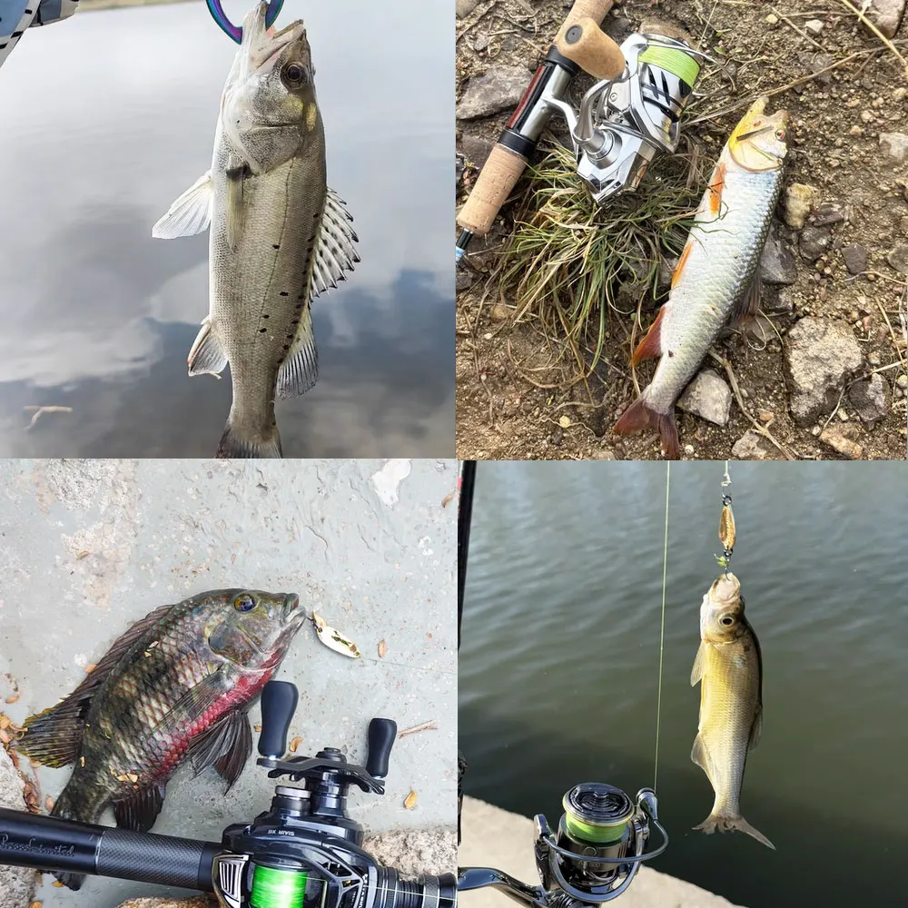 MrLurion 2.5 جرام 3.5 جرام 4 جرام صندوق حزمة ملونة الصيد ملعقة إغراء الطعم ، سمك السلمون المرقط بايك باس الطعم المعدني ، القفز إغراء تهزهز المياه المالحة إغراء