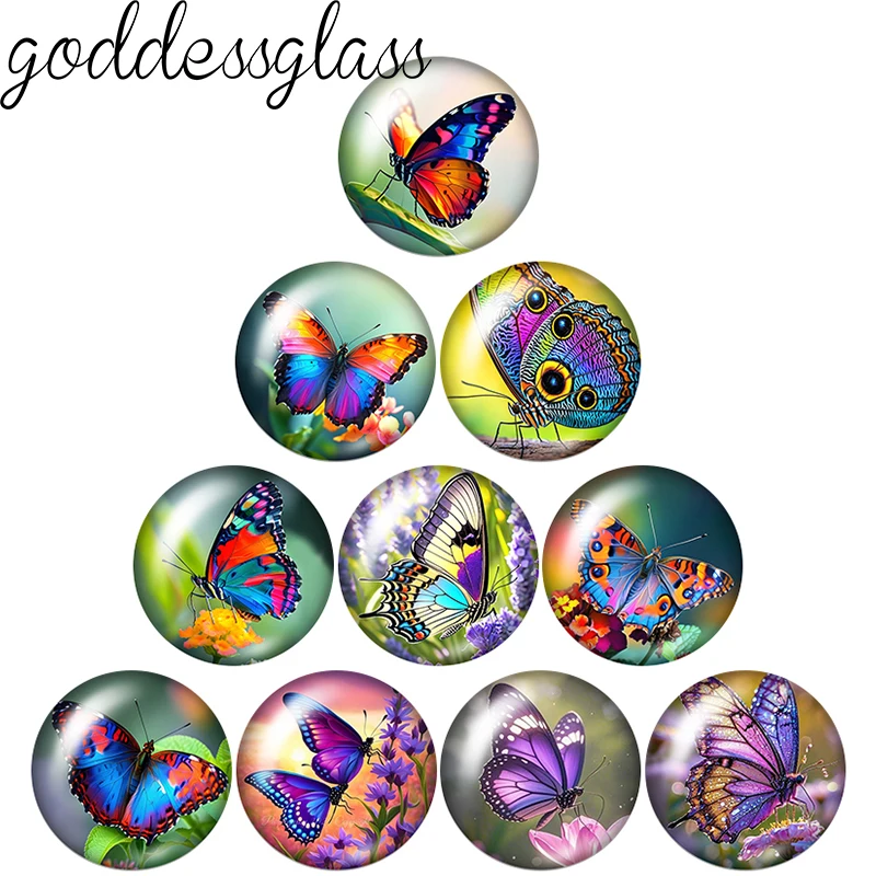 Colorfull Wings Flying Butterfly beauty 10pcs 12mm/18mm/20mm/25mm Round photo glass cabochon flat back Making findings Jewelry