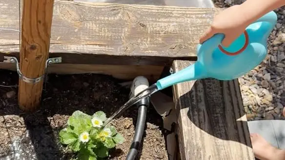 Eco-Friendly Watering Can with Long Spout for Easy Plant Care 2