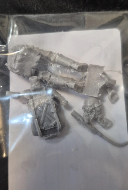 Buyer photo of this resin kit