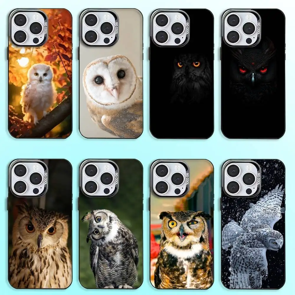 Pet Cute Owl Phone  Phone Case  For iPhone17,16,15,14,13,12,11 Plus,Pro Max Black Candy Matte Shockproof Cover