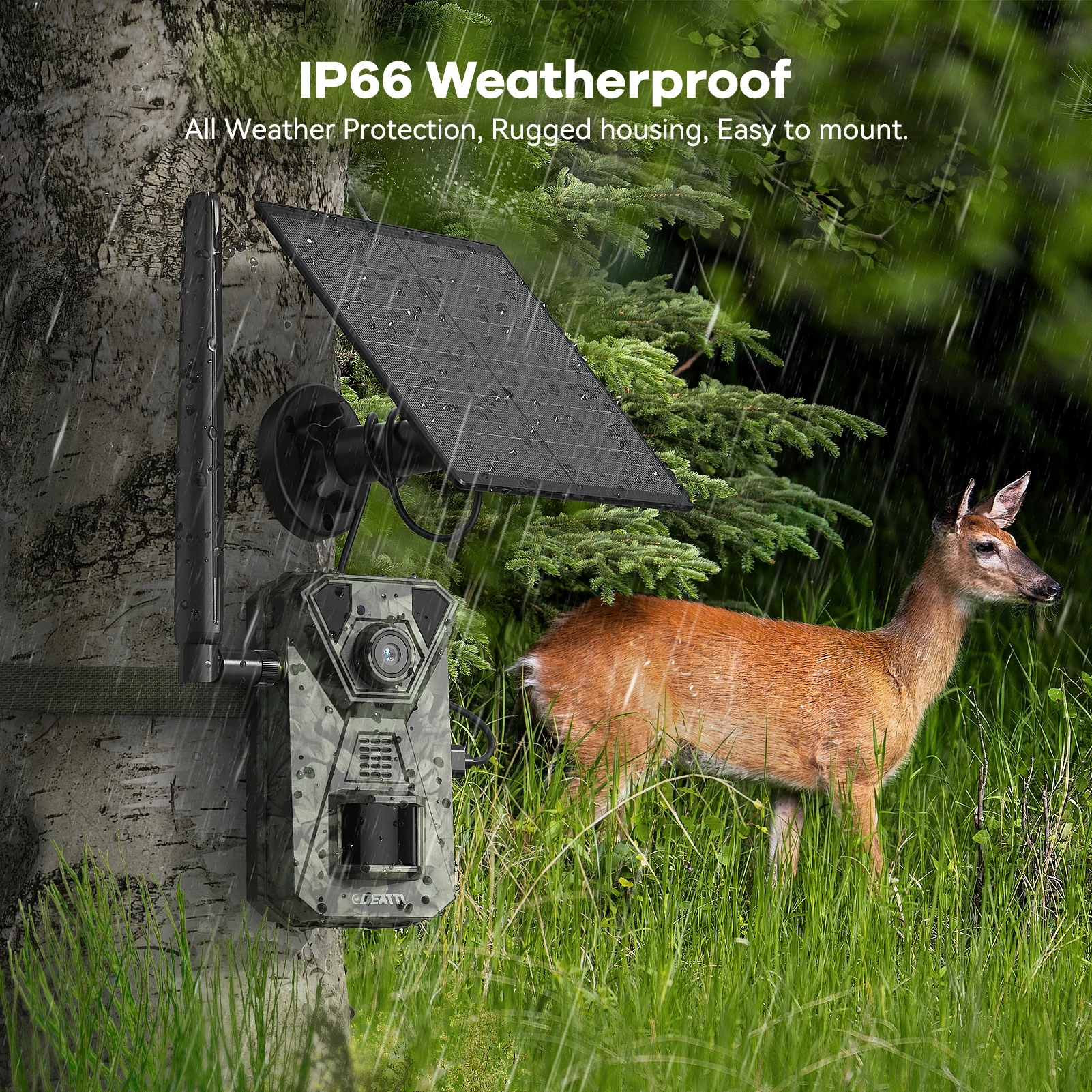 كاميرا الحياة البرية 4G LTE مع تطبيق نقل الهاتف المحمول، كاميرا صيد تعمل بالطاقة الشمسية 2.7K مع بطاقة SIM، مستشعر حركة PIR، رؤية ليلية