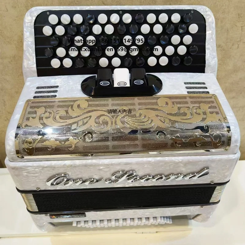 Professional Accordion 60/96 Bass Keyboard Piano 22 Keys Accordion for Wind Instrument