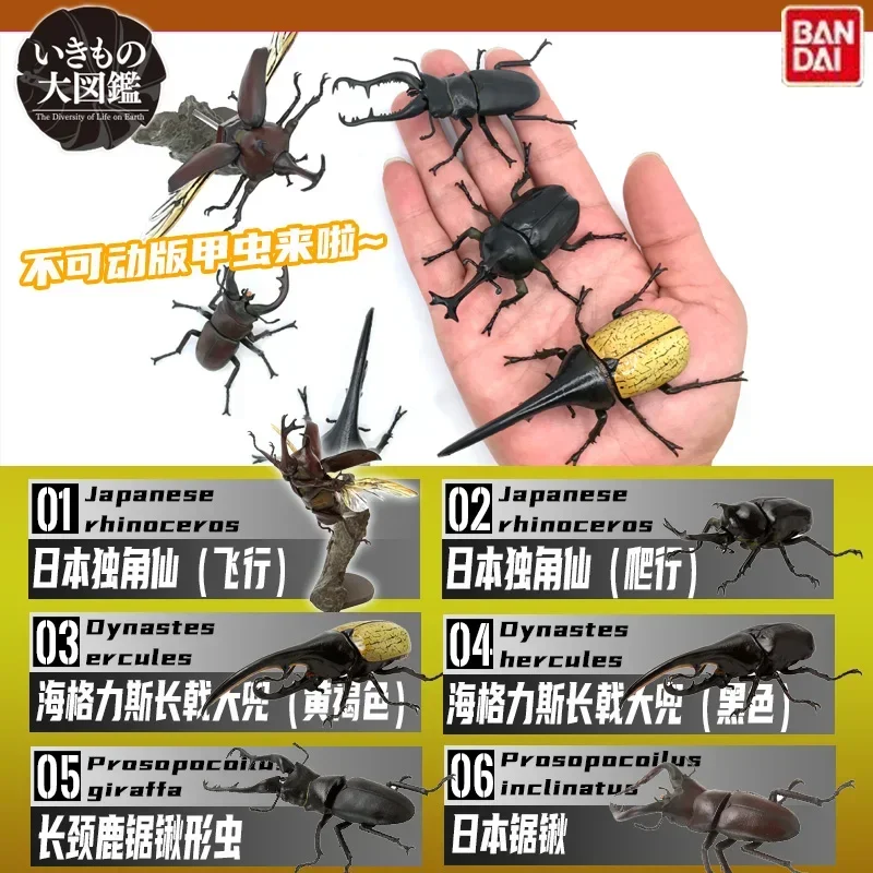 Ornament Twisted Egg Insect Mini Beetle Unicorus Dynastes Simulation Animal Model Collection Desktop Ornament FIGURE TOYS