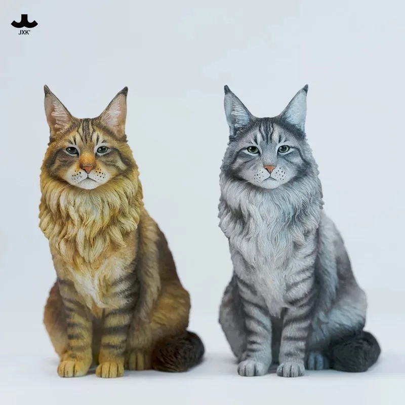 JXK364A/B Pre-venta, Modelo de Gato Maine Coon de Resina a Escala 1/6 en Postura Sentada, Figura de Animal para Coleccionistas, Adorno de Escritorio, Regalo
