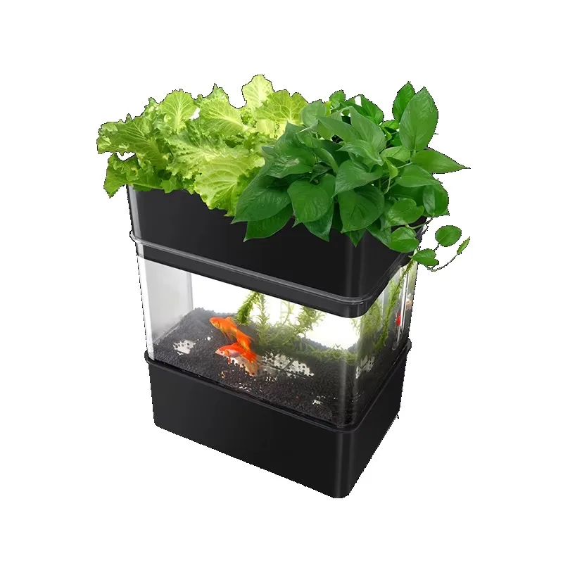 Complete Hydroponic Indoor Aquaponics Growing Systems Indoor Small Aquaponics Growing Systems
