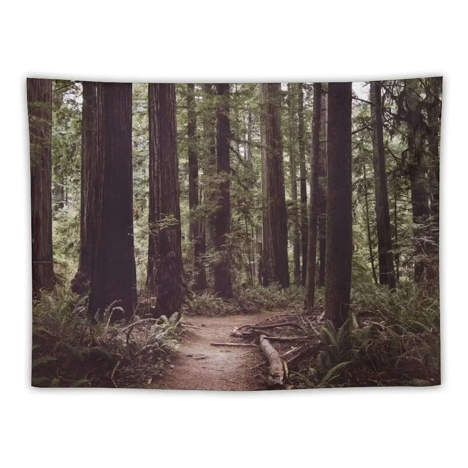 Redwood Forest Tapestry Anime Decor Wall Tapestries Tapestry