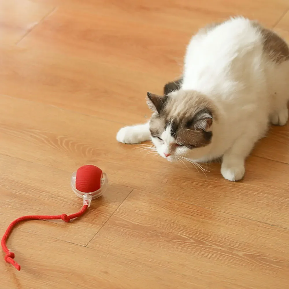 Electric Cat Ball Toys Automatic Rolling Ball Rechargeable Smart Pet Interactive Plush Toy Dog Cat Training Imitate Mouse