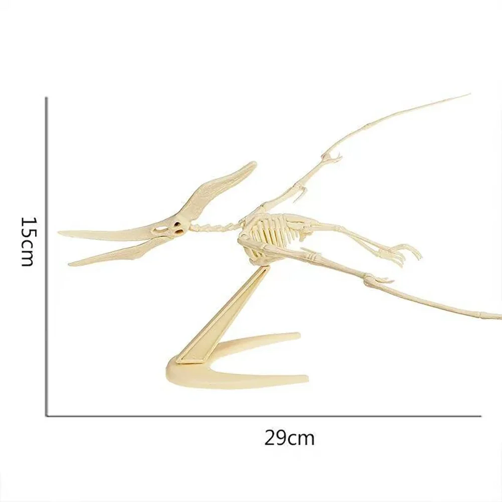 Simulation Dinosaurier Fossil Kunststoff Skelett Modell Kinder DIY handgemachte Dinosaurier Skelett Montage Kit Tyrannosaurus Rex Modell – Detail 3