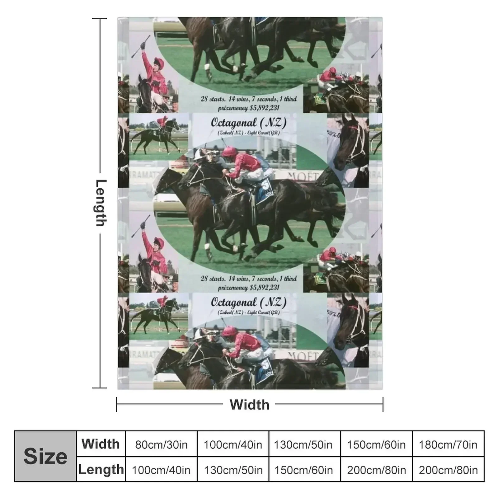 Octagonal career tribute Throw Blanket couch cozy soft plush fuzzy picnic outdoor blanket