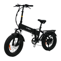 Windgoo F22 Pro Adult E Bicycle 250W Motor Foldable E Bike 48V 12.5Ah Battery 20-inch Fat Tires All-Terrain Electric Bicycle
