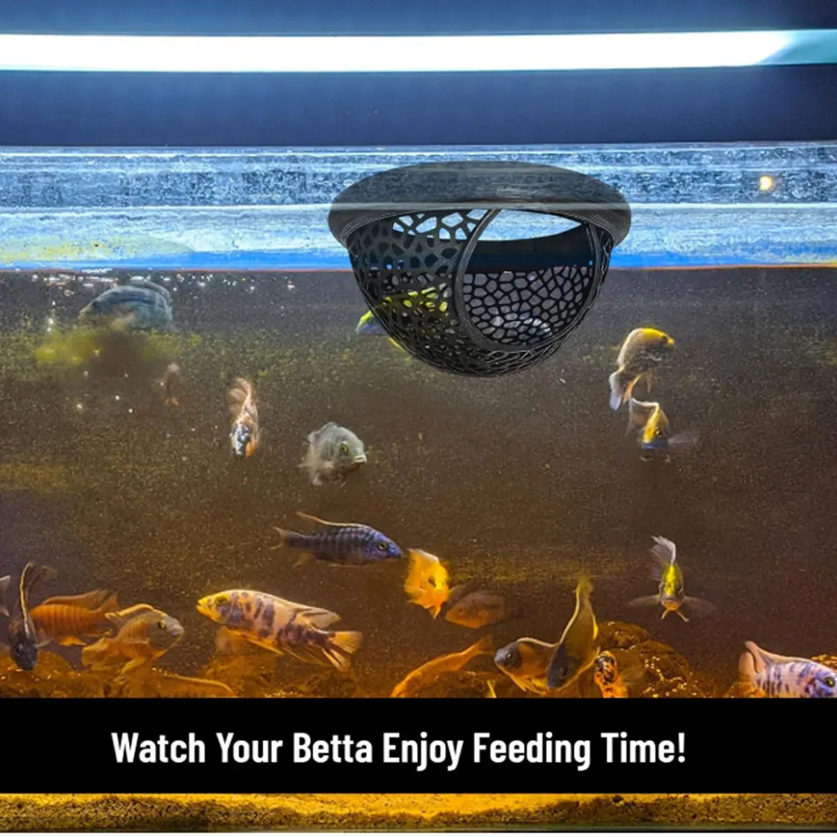 Betta Fish Floating Cave Aquarium Betta Bubble Nest Breeding Hideout Resting Hammock For Fighting Fish Spawning ShelterTankDecor