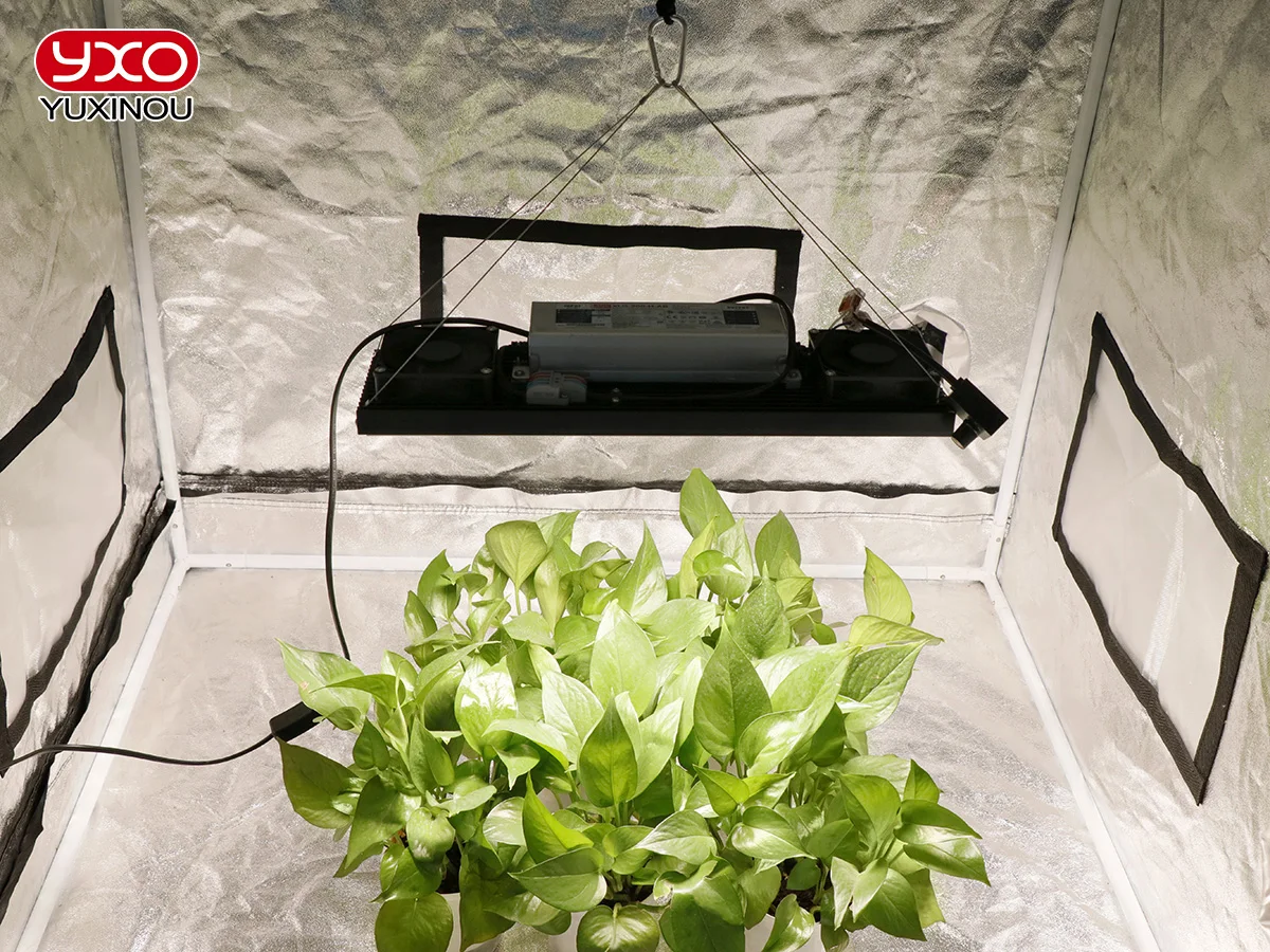 Imagem -05 - Cresce a Luz 200w Espectro Completo Phyto Lâmpada para Plantas de Interior Flor Mudas Vegetais e Crescer Luz Espectro Completo Crescer Tenda Lm301hled