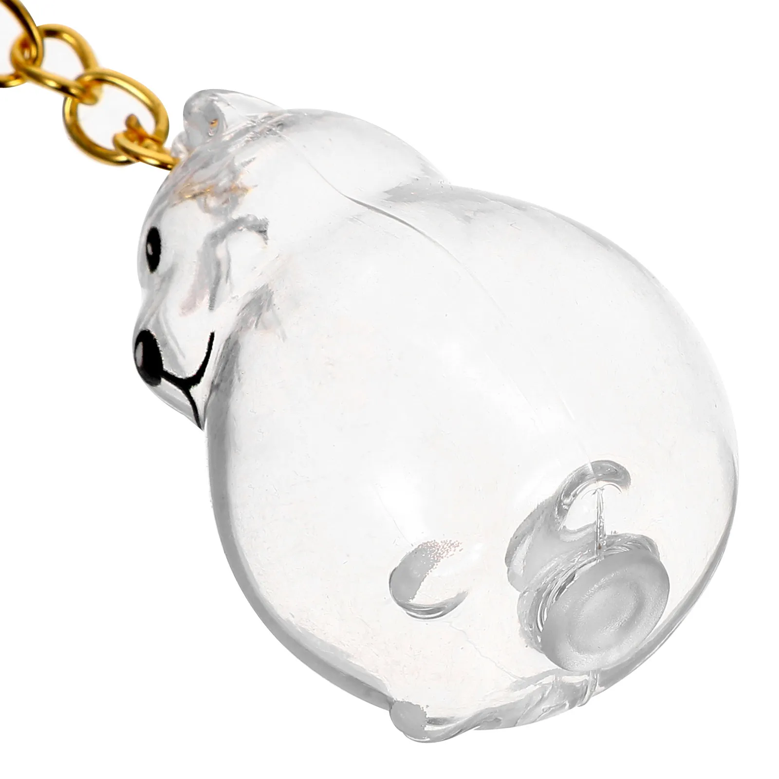4Pcs Dog Hair Memorial Keychain Clear Keepsake Box Transparent Capsule Style Pet Hair Holder Charm for Bag Keys Purse