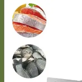 220V Electric Salmon Fish Skin Peeling Skinner Machine Small Fish Tilapia Catfish Skinning Removing Machine