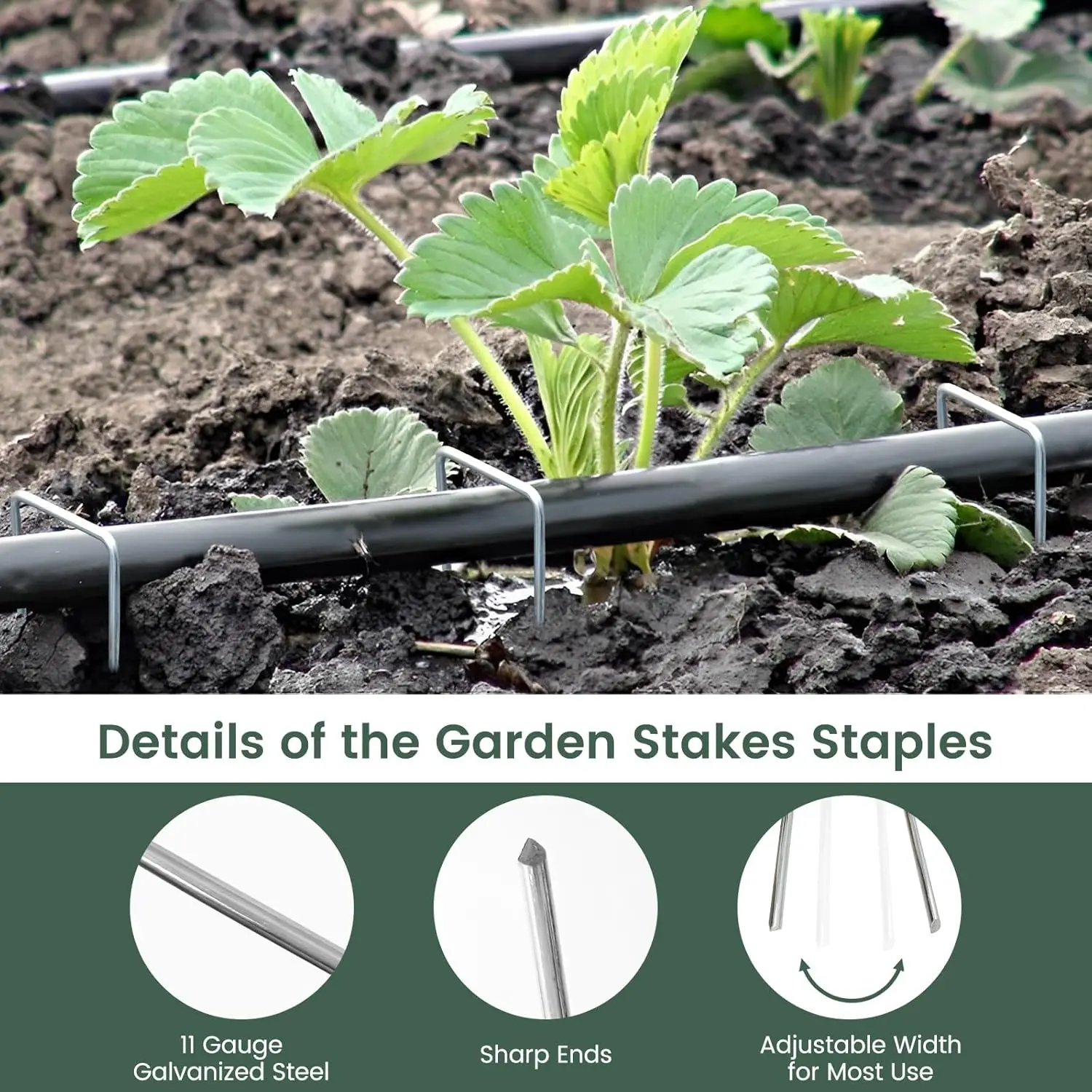 U-type Garden Staples Heavy-duty Fence Stake Sod Pins Galvanized Landscape Stakes Spike for Holding Weed Barrier Ground Cover