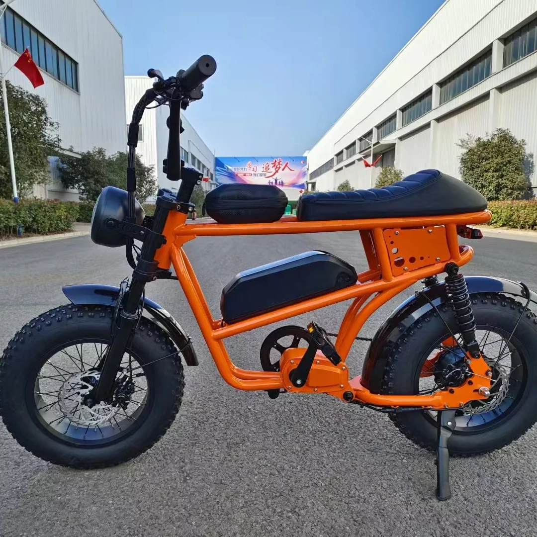 

16\" Aluminum Alloy Frame Disc Brake Cargo EBike 1000W Bafang Rear Motor Digital Electronic Mini Motorcycle Long-Lasting Fat