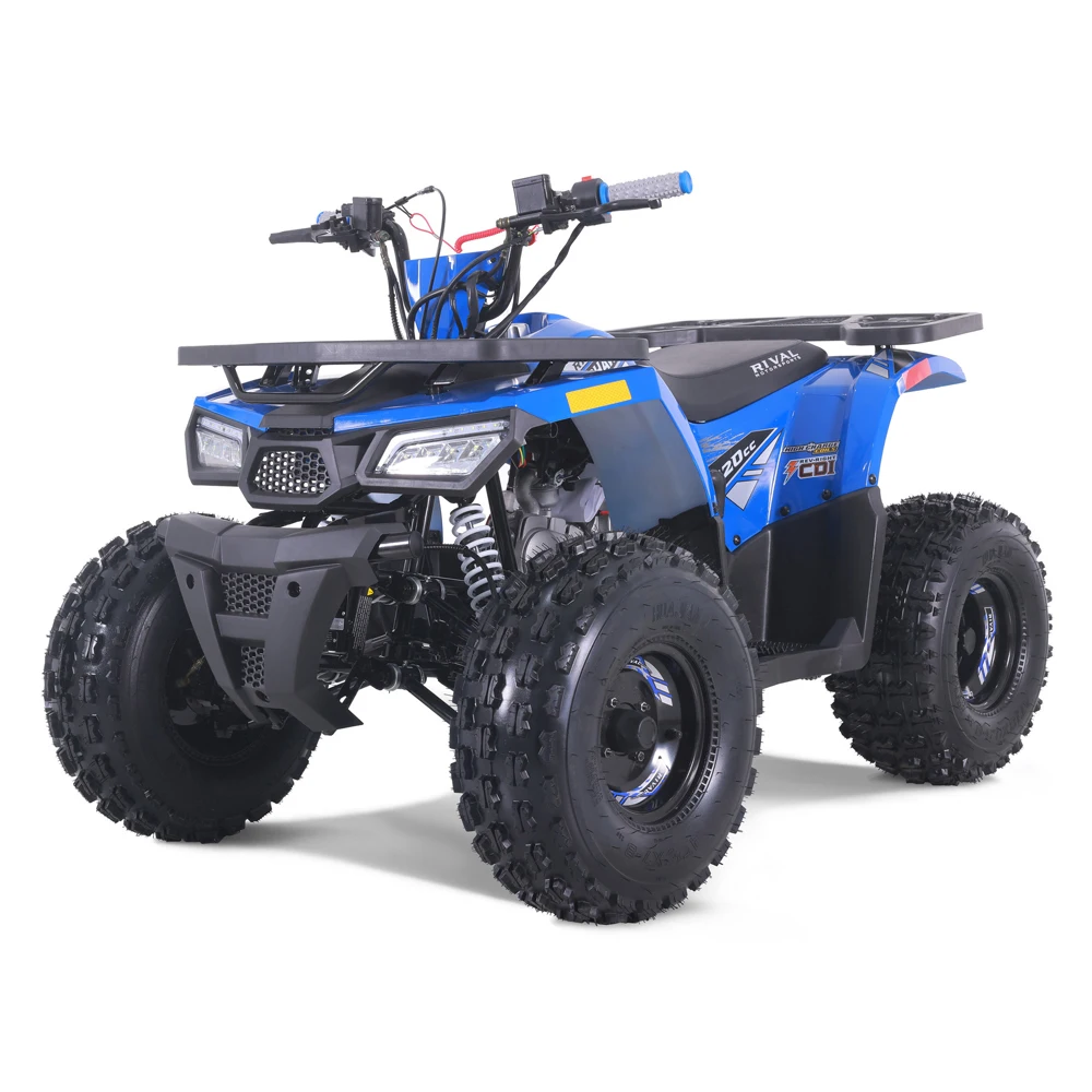 

2024 New Cheap Farm ATV Automatic Chain DriveQuad Kids 110cc ATV