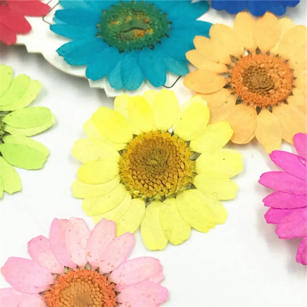 Epoxy Resin DIY Natural Flower 12Pcs Pressed Dried Nail Craft Phone Decoration