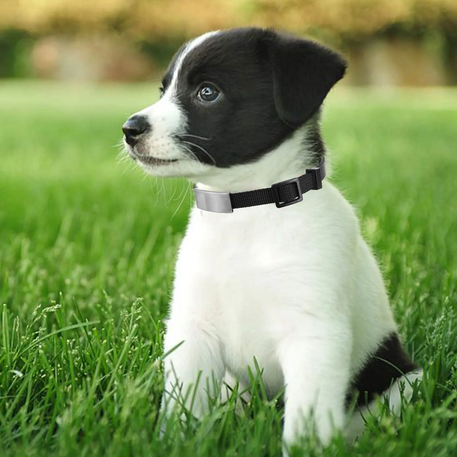 

Adjustable Cat Collar For Cats Puppies With Bell Name Tag Safety Buckle Durable Polyester Pet Collar For Indoor Outdoor