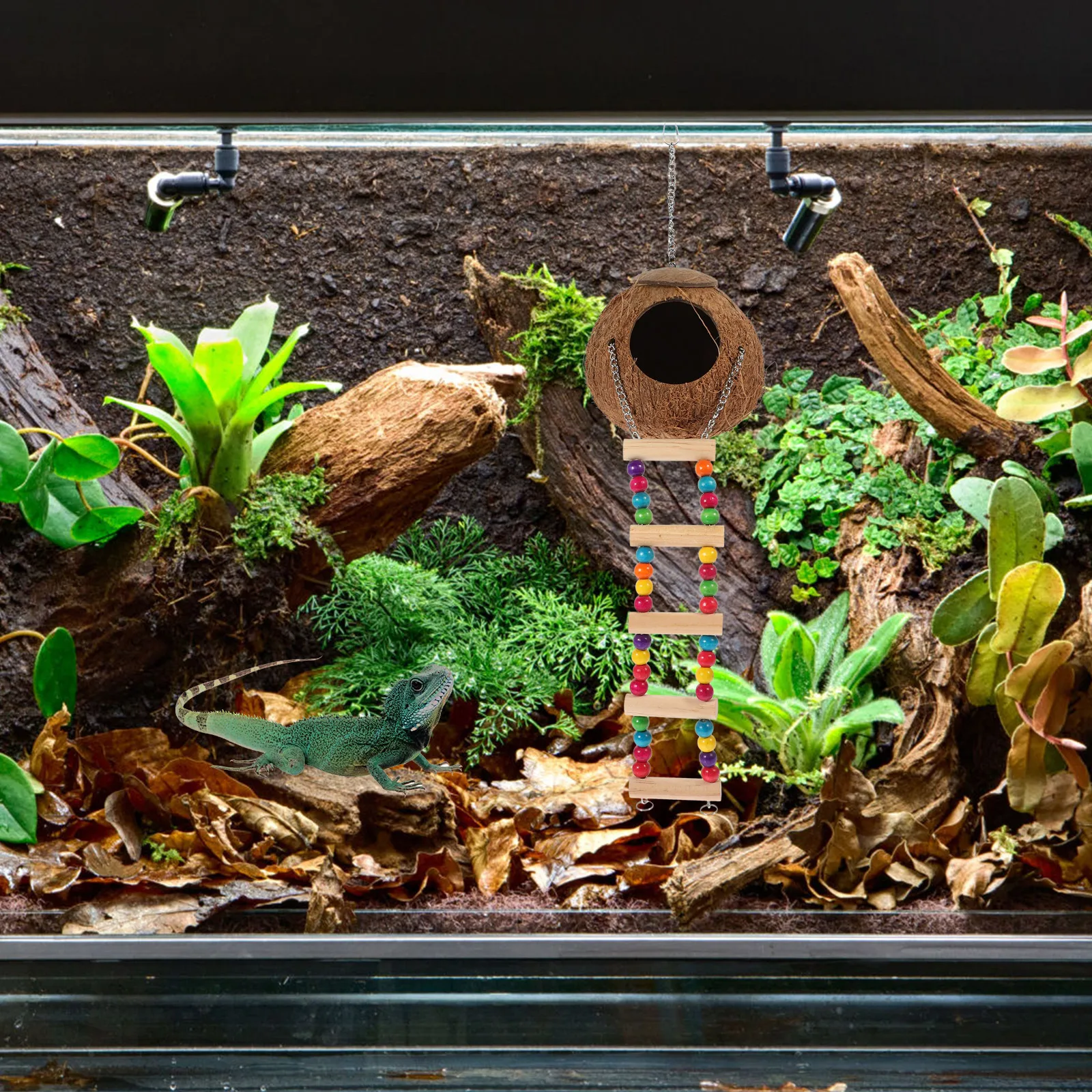 

Coconut Reptile House Climbing Gecko Cave Hanging with Ladder Shell Nest Pet Terrarium Hideout Safe Environment