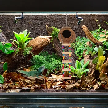 Coconut Reptile Hideout 1