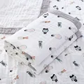 polar animals