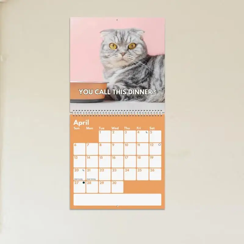 Funny Cat Calendar 2025 11x11 Inch 2025 Cat Calendar Upset Cats Wall Calendar 2025 Monthly Calendar Planner For Teens Adults