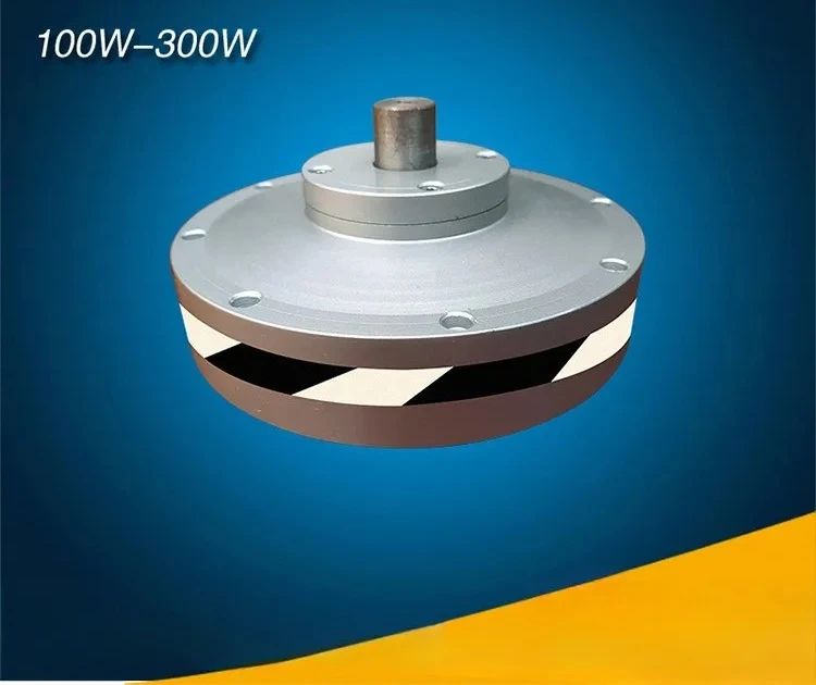 

100-300 watt motor for vertical axis fan, wind turbine, magnetic levitation with outer rotor
