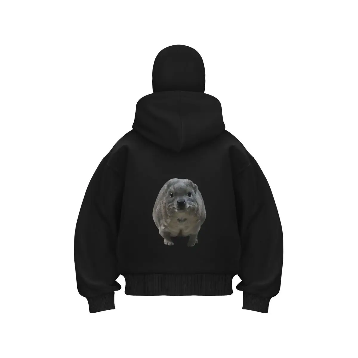 

Sweet Rock Hyrax Теплая уличная мужская зимняя повседневная толстовка с двойным капюшоном