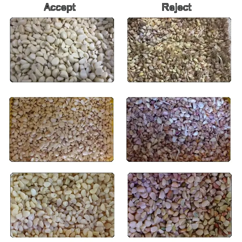 AI Intelligent 1000-3000kg/h Chestnut Cashew  Hazelnut Chili Color Sorter Almonds Plastic Garlic Color Sorting Machine