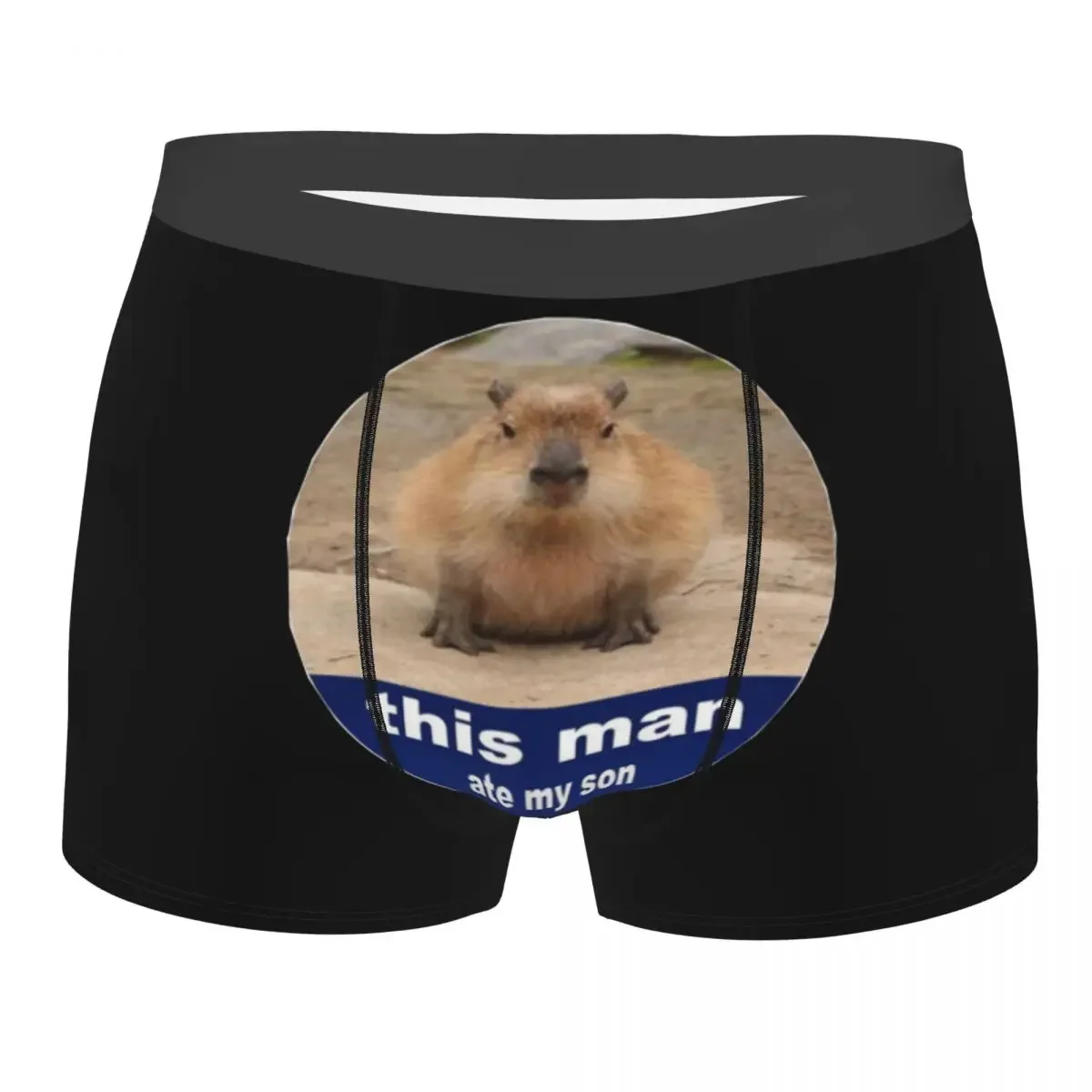 Capybara Man Underwear Funny Animal Boxer Briefs Shorts Panties Humor Mid Waist Underpants for Male S-XXL