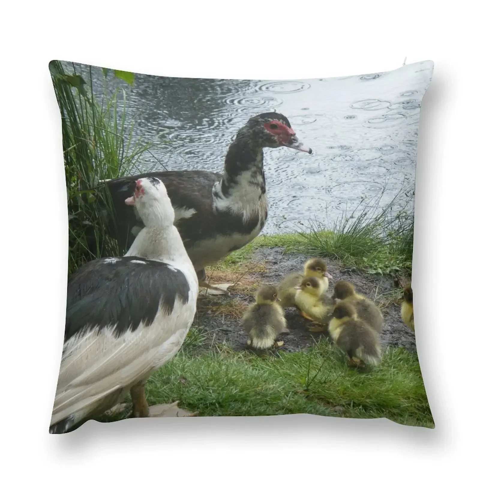 

Muscovy Ducks with Ducklings Throw Pillow Luxury Pillow Cover autumn pillowcase covers for pillows christmas pillowcases pillow