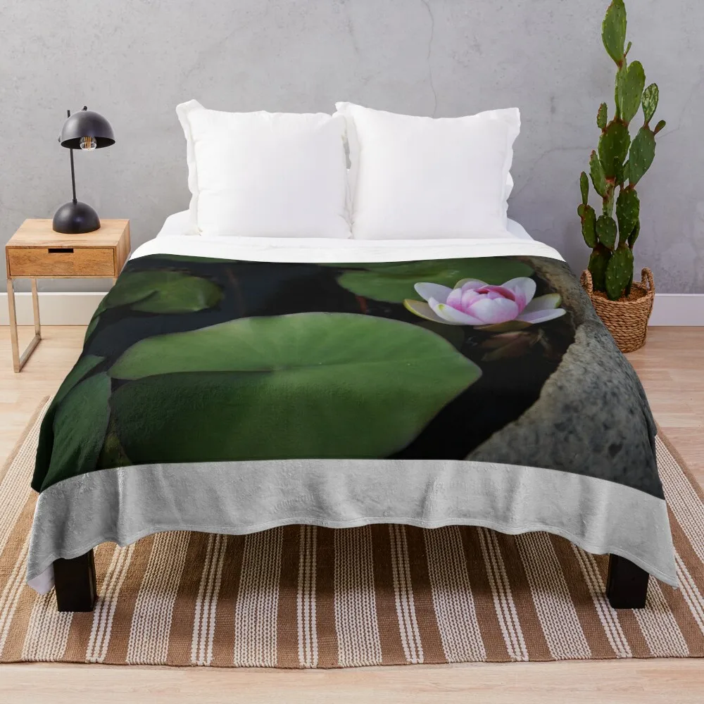 The 11th Online Photo Exhibition. Nature's Poetic Splendor https://buly.kr/4Fp4Y3p Throw Blanket Soft Big Bed linens Blankets