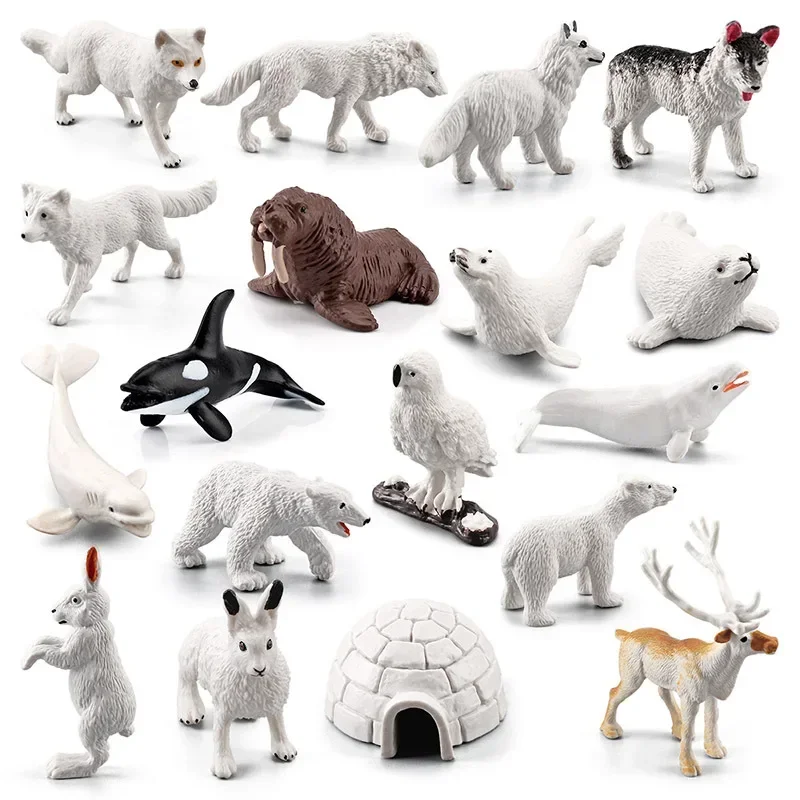 18PCS Set Simulazione Mini Modello Animale Polare Set PVC Solido Volpe Arctica Orso Polare Volpe Bianca Sigillo Modello Animale Polare Figura Giocattoli