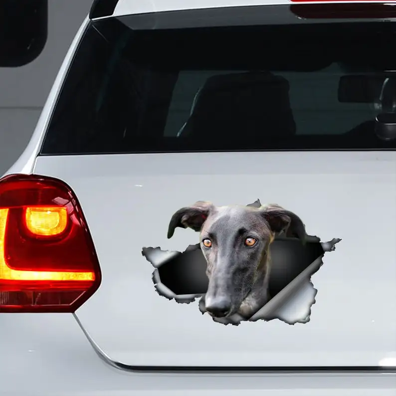 Galgo car decal, Galgo magnet, Galgo car sticker,fridge magnet