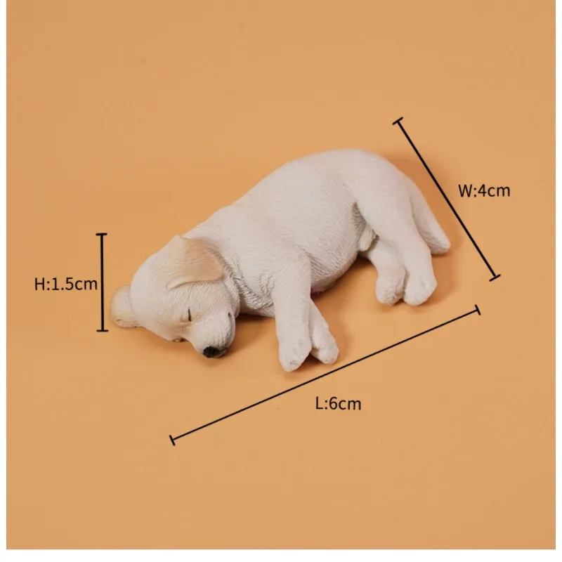 Jxk Cute Small Gold…