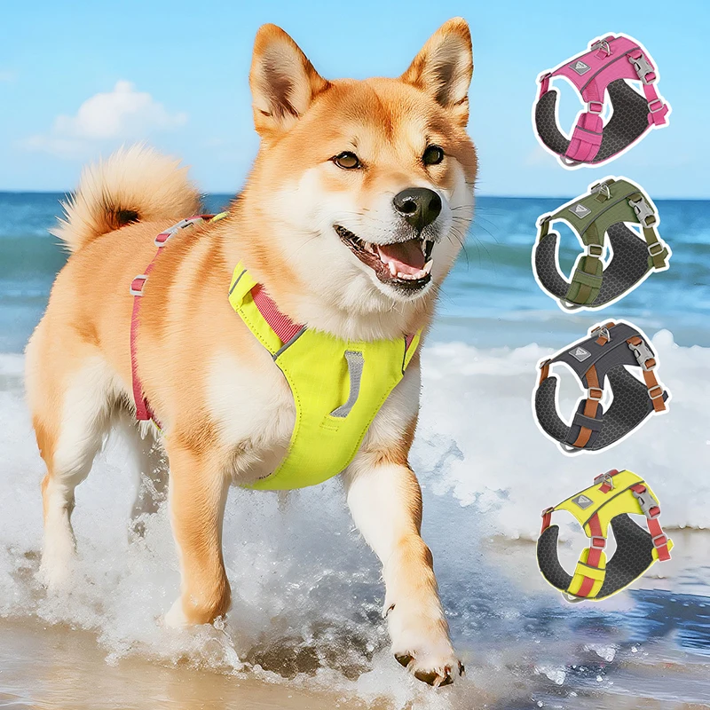 Anti-Escape Lightwe…