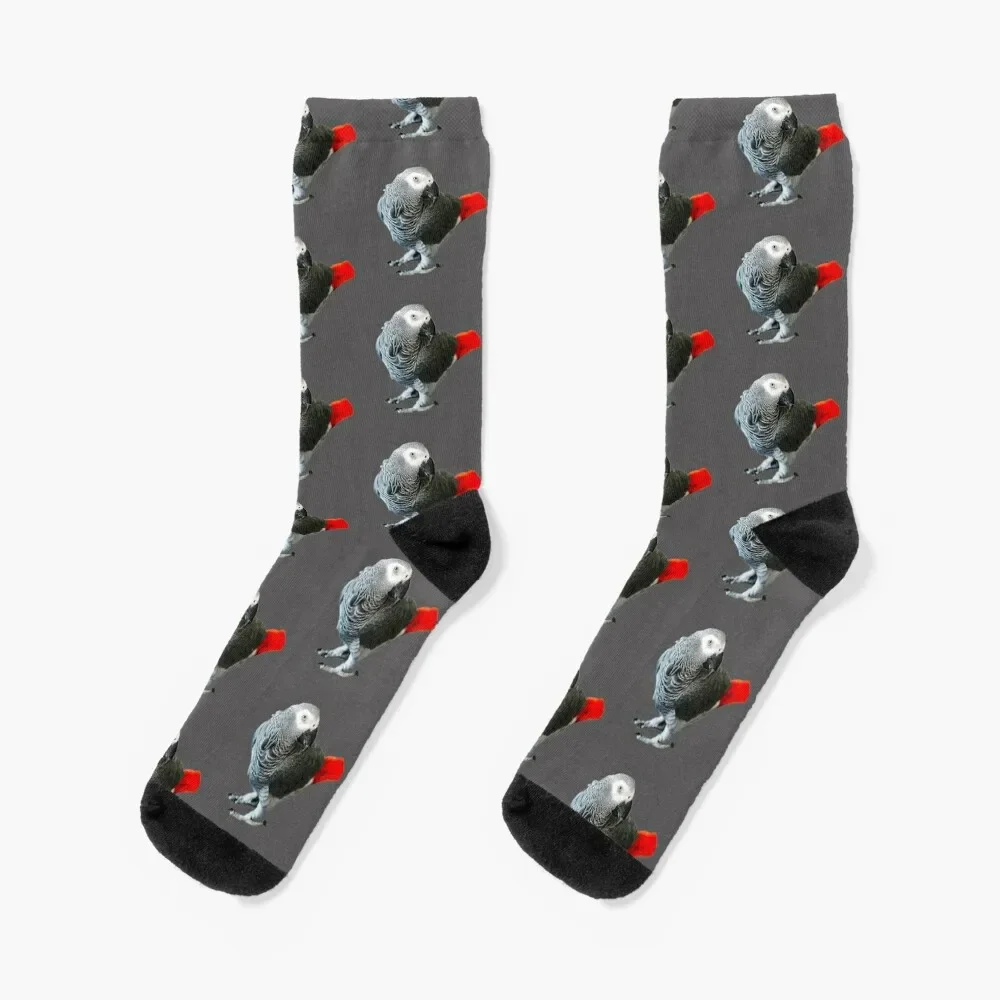 African Grey Parrot Socks funny sock luxe golf Socks Female Men's