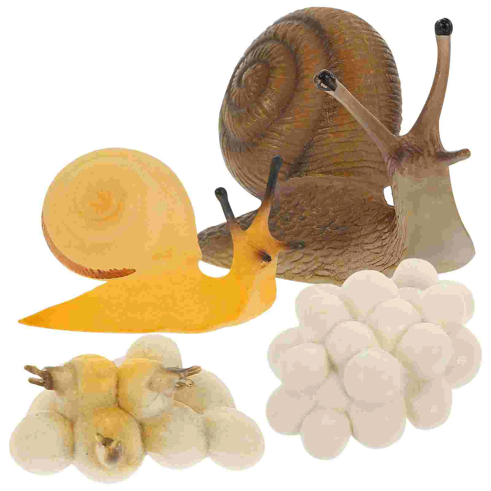 

Snail Growth Cycle Simulated Playthings Toy Growing Toys Animal Models Plastic Kid Educational for Toddlers Childrens