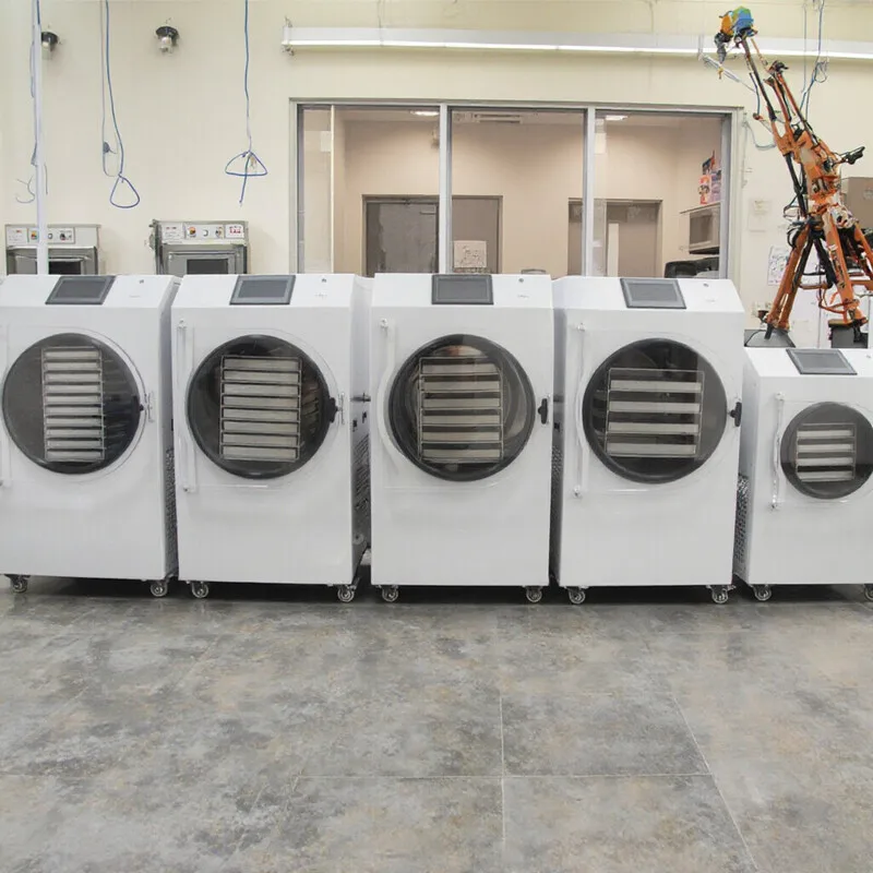 

Mini Continuous Home Lab Portable Drying For Fruits & Vegetables Freeze Dryer Laboratory Machine