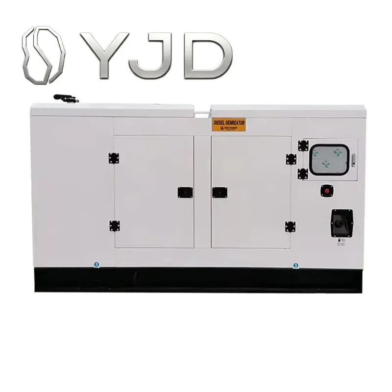 Generador de Energía Portátil de Alta Calidad en Oferta, Generador de 125 Kva 100 Kw, Generador Silencioso Ricardo