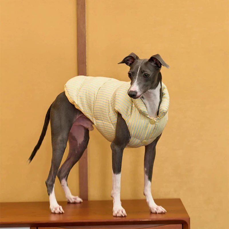 

Winter Warm Quickly Take Off Down Coat Button Cat Clothing Italian Greyhound Windproof Stripe Zipper Jacket Small Whippet Dogs
