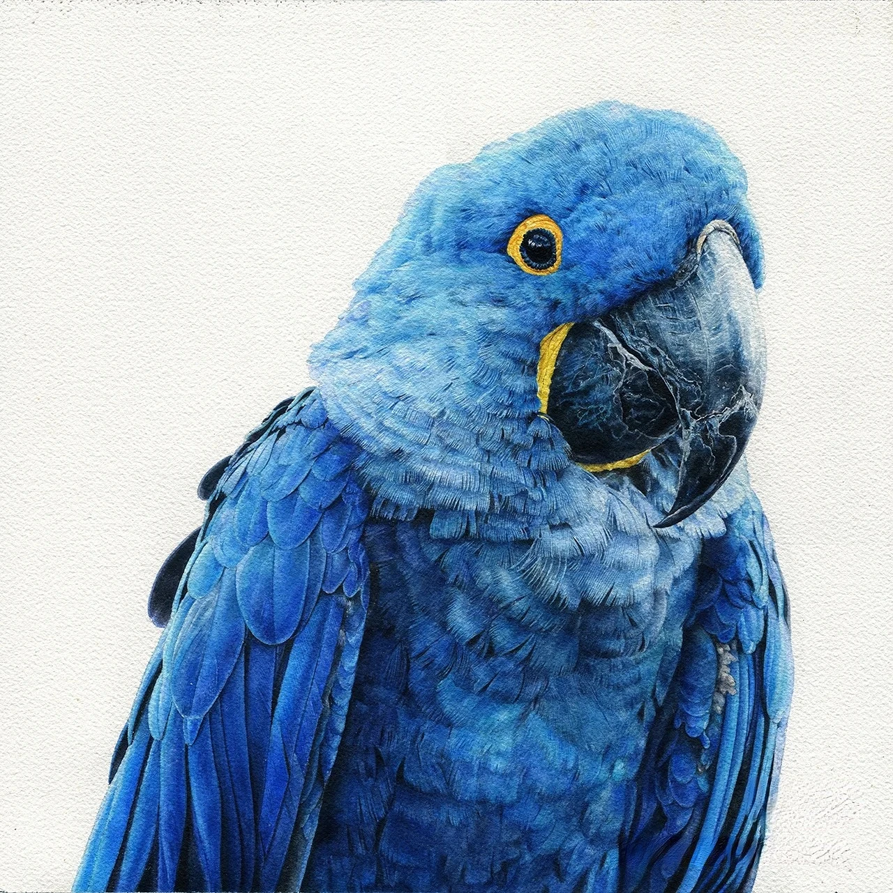 مجموعة صناديق خشبية احترافية مطلية بالألوان المائية، فن رسم يدوي محمول مكون من 12 لونًا، فن أظافر