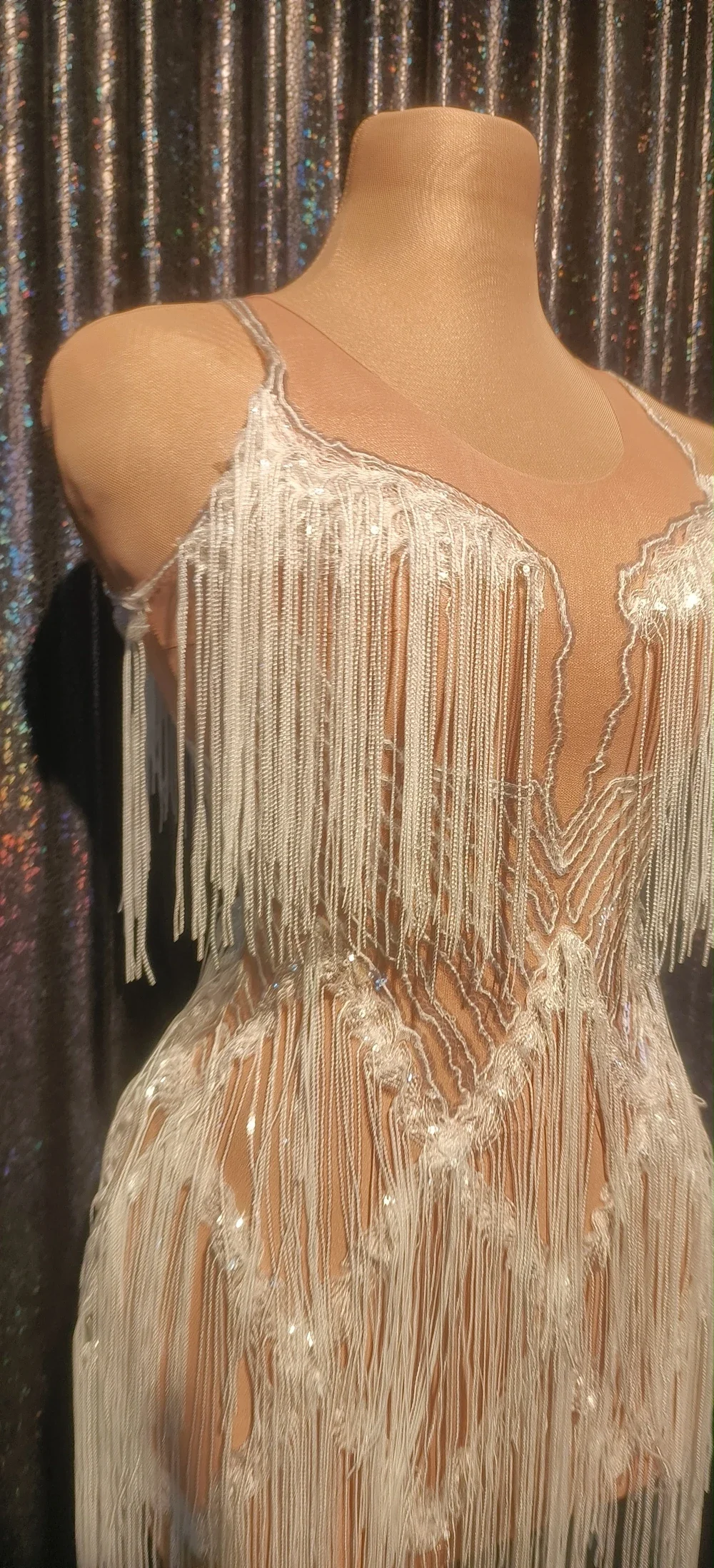 Sequins Fringes Dress Sexy Mesh See Through Tassel Dance Costume Birthday Dress Performance Show Stage Wear