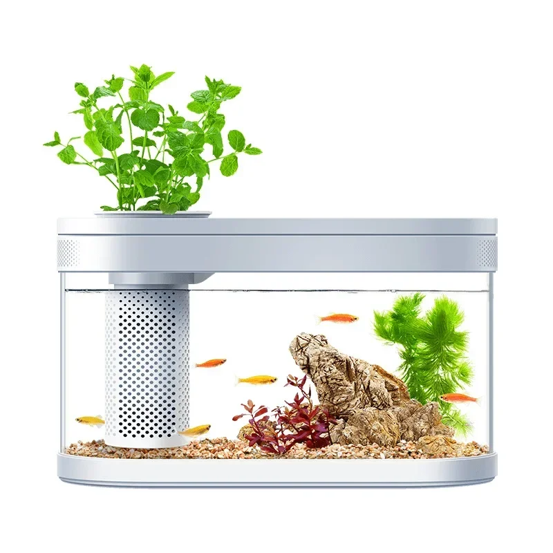

Original Geometry Fish Tank Aquaponics Ecosystem Small Water Garden Ecological Fish Tank Aquarium Transparent Aquarium