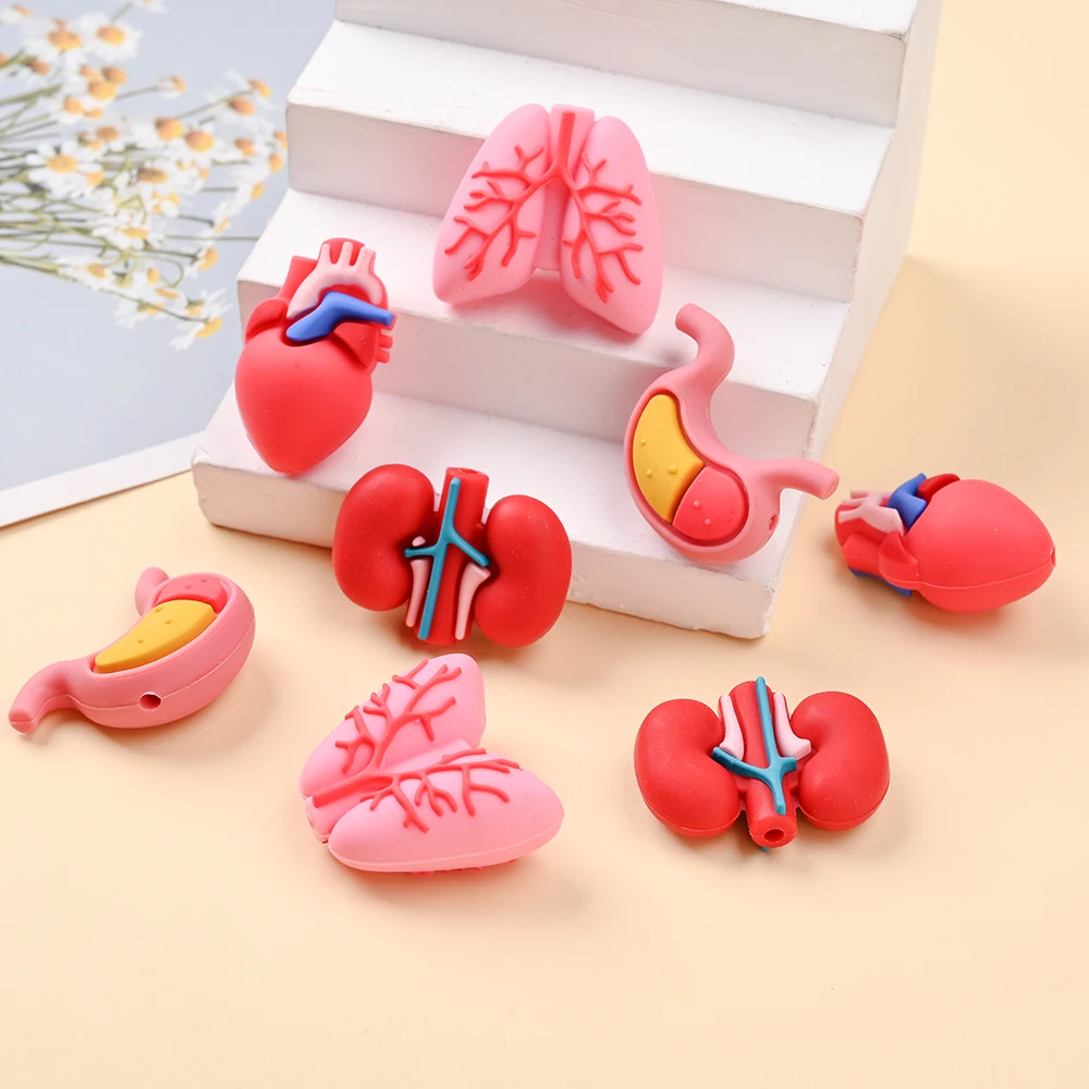 4Pcs 3D Simulated Organ Silicone Beads, Loose Space Beads for DIY Jewelry Making Bracelet Necklace Keychain Beaded Pen Accessori