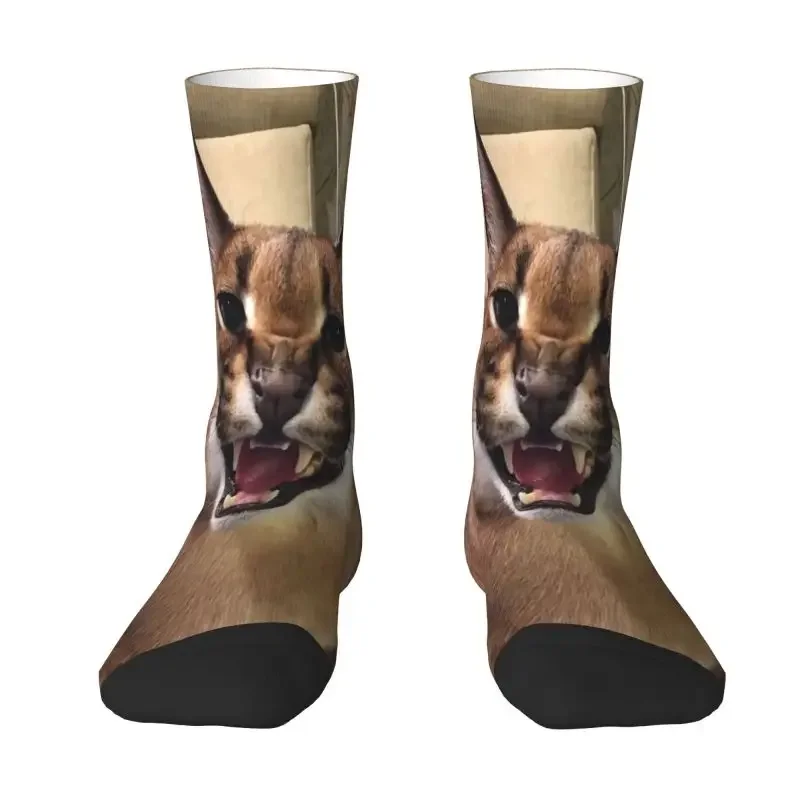 Harajuku Caracal Cat Floppa Meme Socks Women Men Warm 3D Printing Sports Football Crew Socks