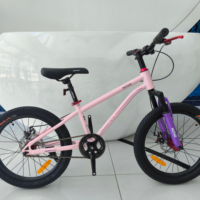 18-22 Inch Kids' Bike Cycle Age Appropriate Bicycle for Younger Riders